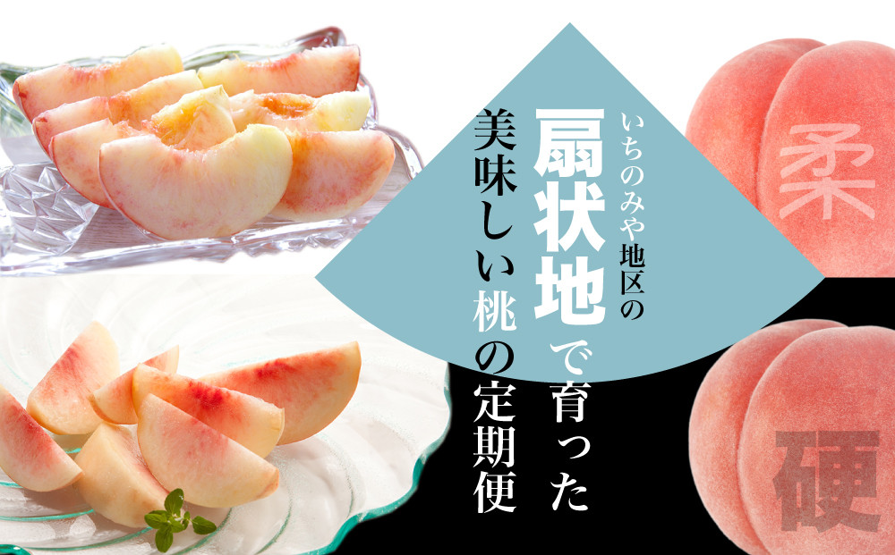 扇状地の恵まれた自然の力で育った「いちのみや地区」の「柔かい」「硬い」桃2種類をそれぞれ糖度検査して新鮮なうちにお届けします