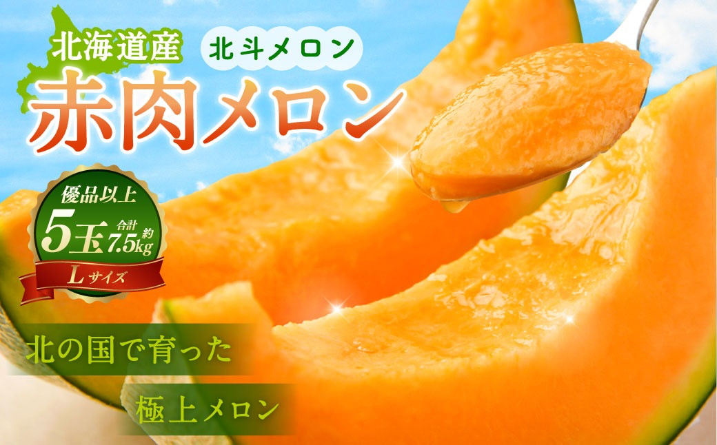 北斗メロン（ Lサイズ） 5玉（合計約7.5kg）
