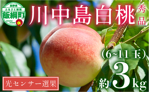 光センサーを通し、「糖度」「熟期」を判別。糖度保証しております。