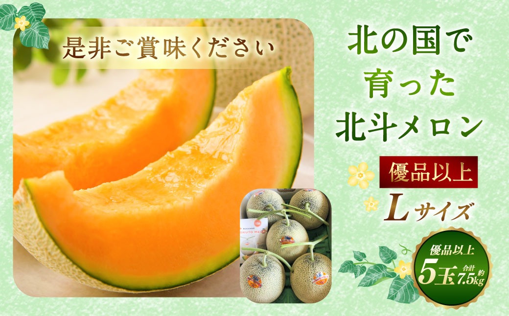 北斗メロン（ Lサイズ） 5玉（合計約7.5kg）