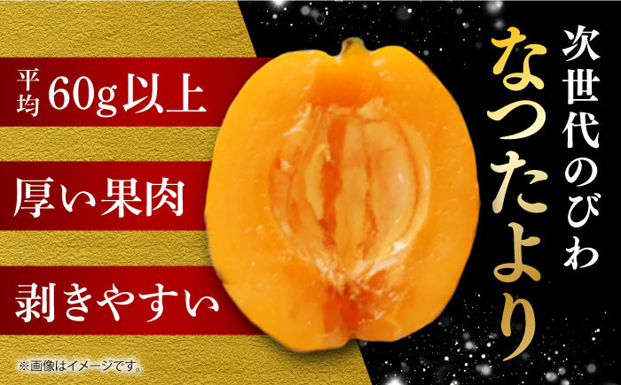 びわ ビワ 枇杷 果物 フルーツ なつたより 果実 長崎県産 国産