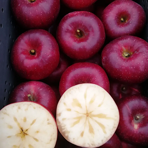 長野県で育種された超レアな新品種 「シナノホッペ」