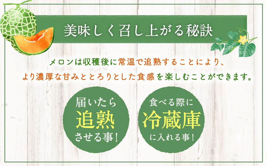 北海道産 北斗メロン「赤肉メロン」〈LLサイズ〉2玉（優品以上／2玉で約4kg）