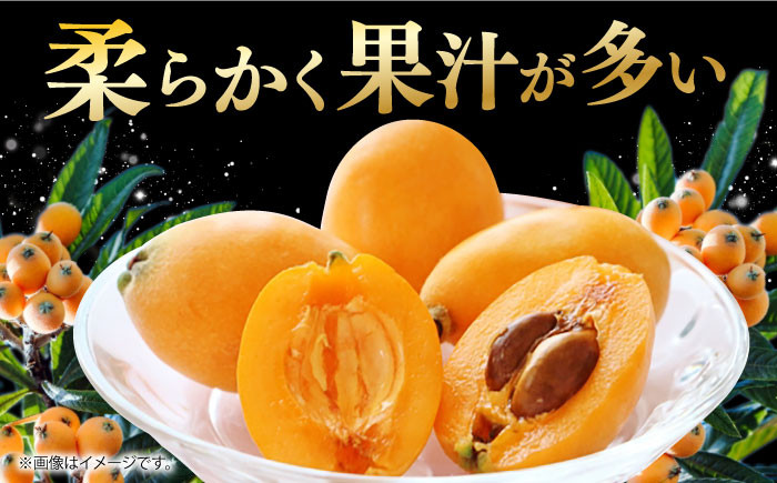 びわ ビワ 枇杷 果物 フルーツ なつたより 果実 長崎県産 国産
