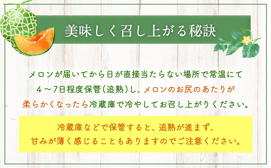 北斗メロン（ Lサイズ） 5玉（合計約7.5kg）
