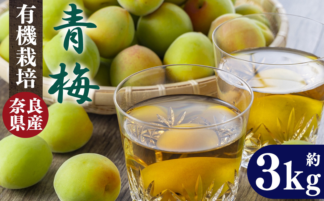 有機栽培 梅干し手作りセット