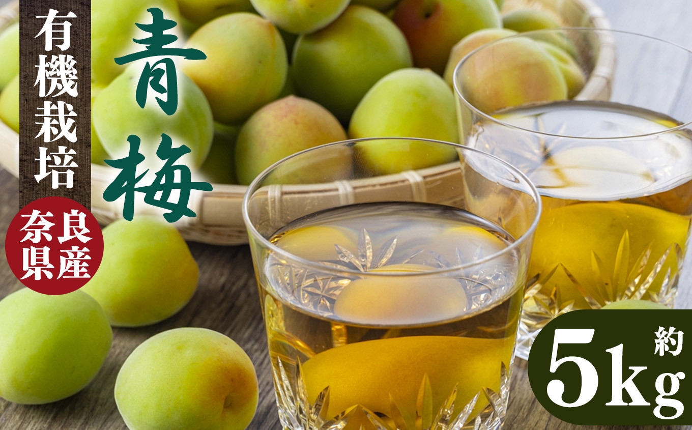 有機栽培 青梅 5kg(ジュース・梅酒・酵素用)