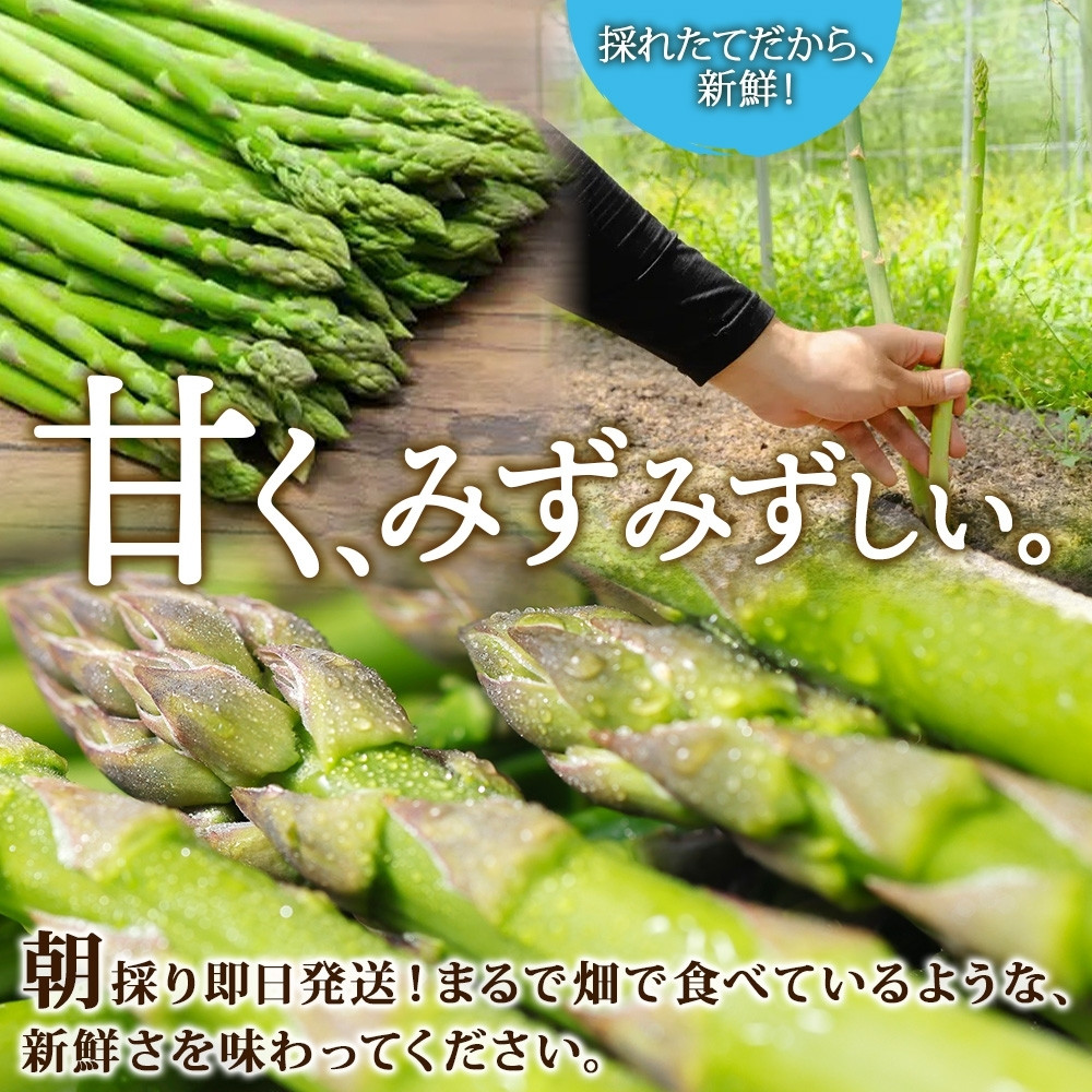 画像はイメージです