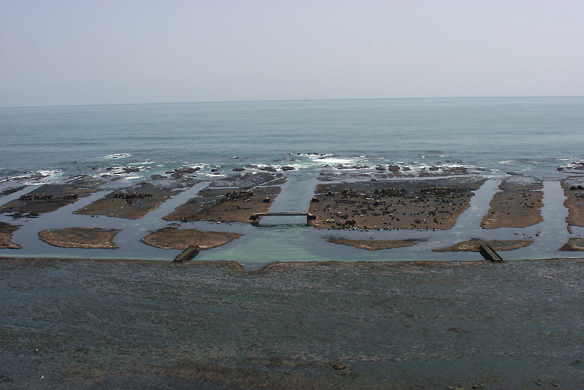 岩盤を掘削した「ウニ増殖溝」