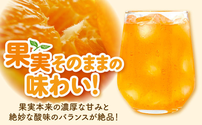 mikan 密柑 みかん みかんジュース ミカンジュース フルーツ デコポン ドリンク 飲み物 果物ジュース