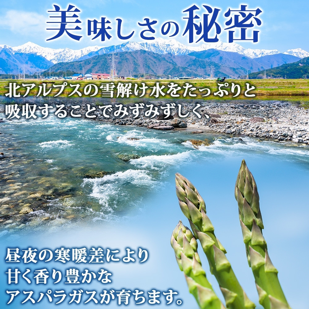 画像はイメージです