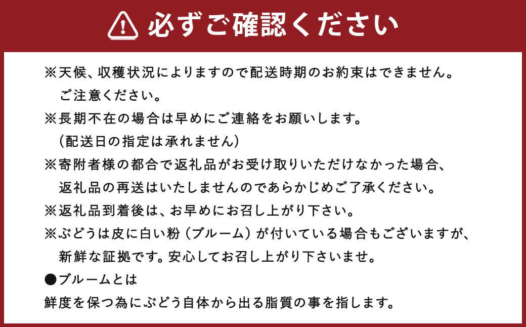 数量限定 よらん野 特選梨とぶどうセット(品種おまかせ)