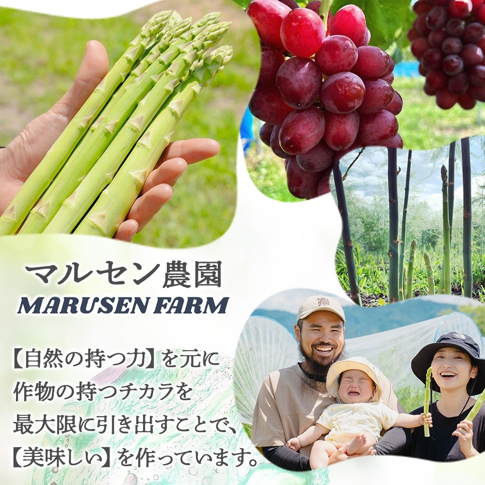 画像はイメージです