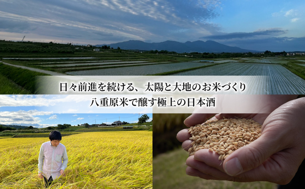 【ギフト限定】至極の日本酒！坐kura純米大吟醸