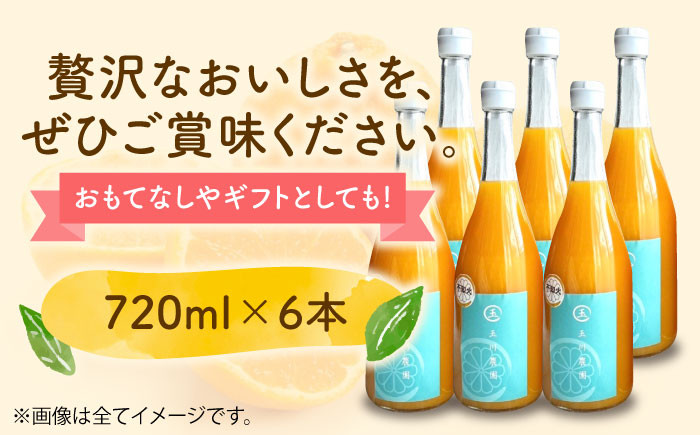 mikan 密柑 みかん みかんジュース ミカンジュース フルーツ デコポン ドリンク 飲み物 果物ジュース
