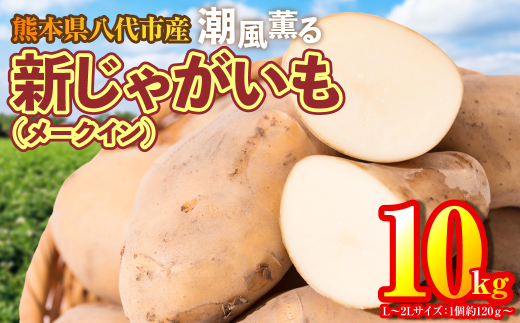 様々な世代の方に楽しんでいただけるような、なめらかでほんのり甘いジャガイモです。