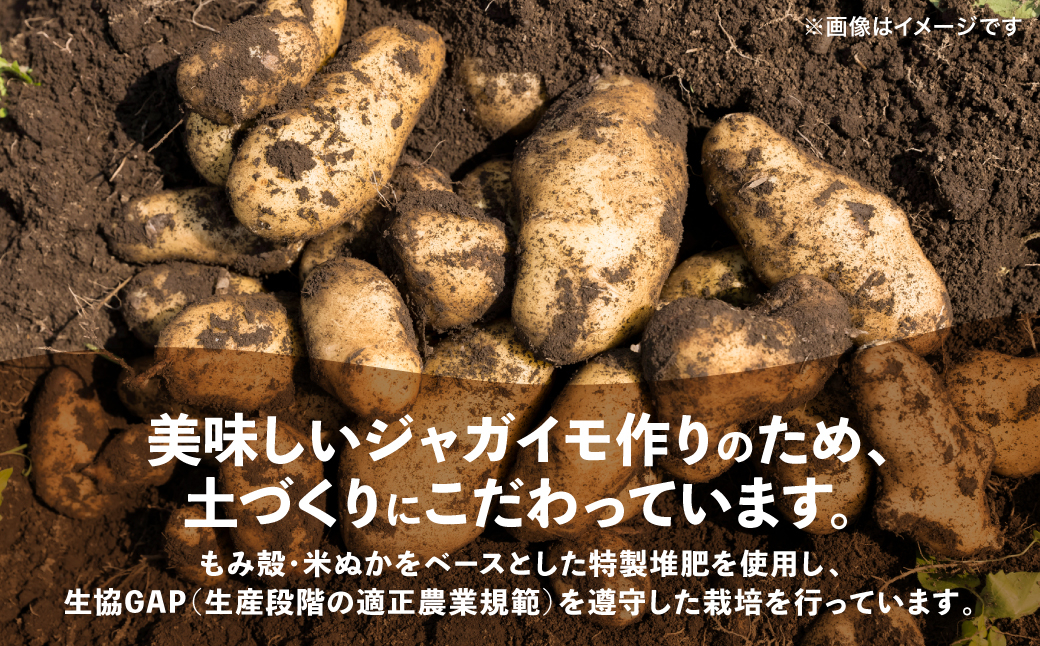 こだわりは土づくりから。美味しいジャガイモ作りのために特製の堆肥を使用しています。