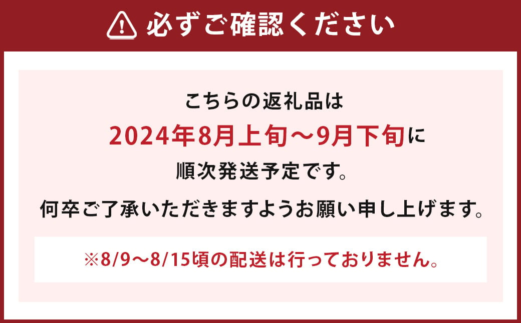 数量限定 よらん野 特選梨とぶどうセット(品種おまかせ)