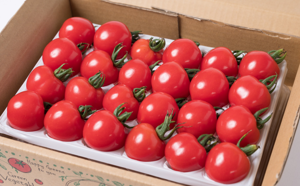 宮島農園の大人気トマト『セレーナ』です。