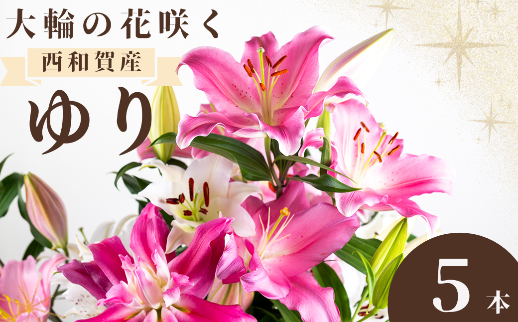 今年も発送開始！受付は１１月まで！