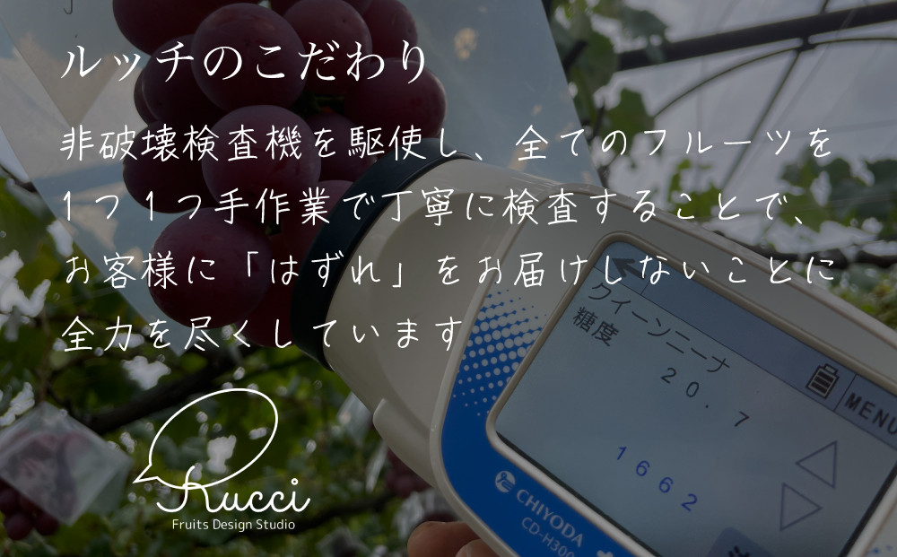 ルッチは美味しいフルーツを確実にお客様に届けることに全力を尽くしています！