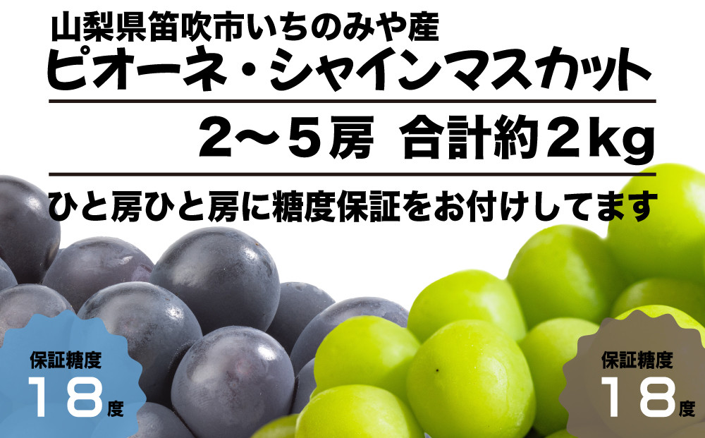 大人気シャインマスカットとブドウの王道ピオーネの食べ比べセットです！