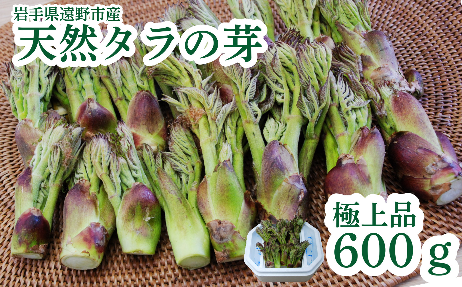 遠野産天然タラの芽600ｇ