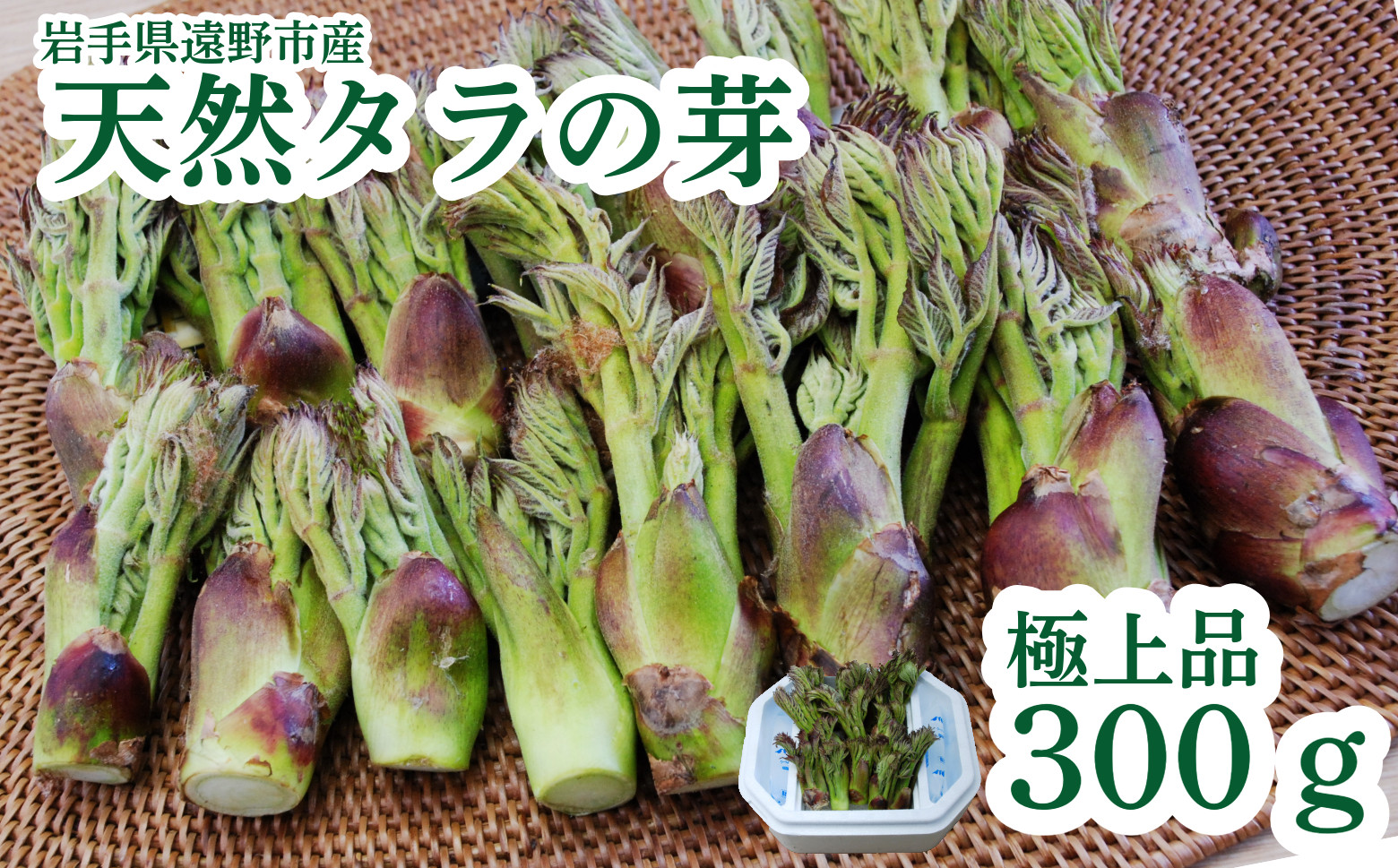 遠野産天然タラの芽300ｇ