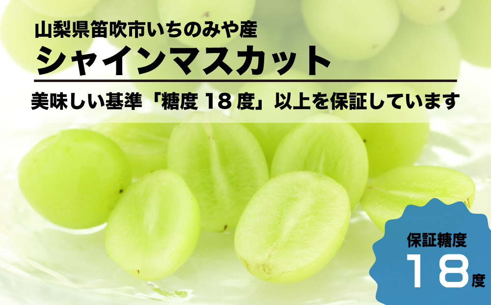 17度以下のシャインマスカットは美味しくありません。だから糖度18度以上のシャインマスカットのみを選び抜いてお届けしています！