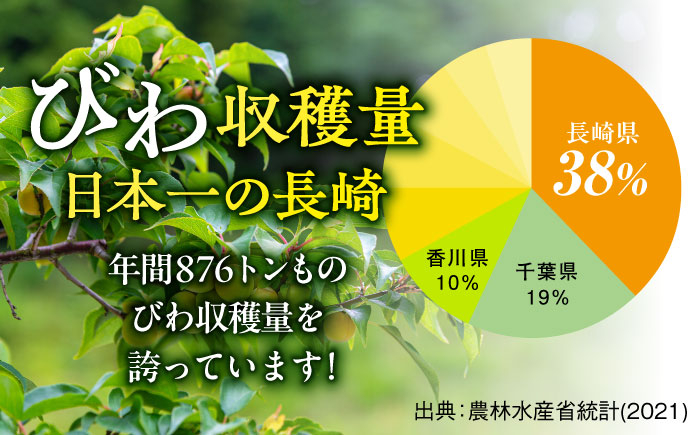 ゼリー びわ ビワ 枇杷 まるごと 定期便 長崎