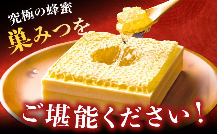 蜂蜜 はちみつ ハチミツ コムハニー グリークヨーグルト アサイーボウル