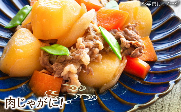 【12回定期便】なるせみそ・しょうゆのうまくち醤油 1L×2本 /角味噌醤油 [UAX034]