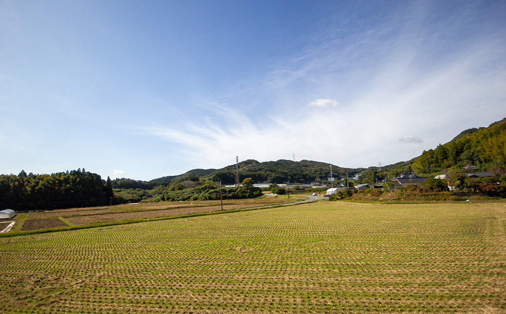 上村農園の 太秋柿 3.5kg (約10〜12玉)