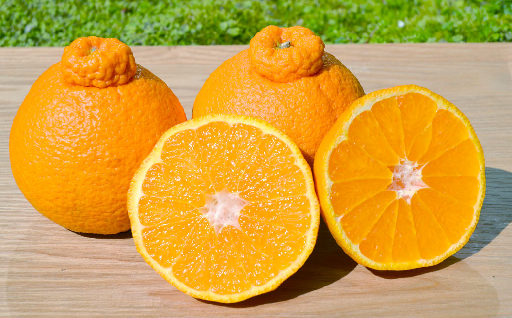 紫川デコ（不知火） Lサイズ 20玉入 計5kg程 フルーツキャップ付き