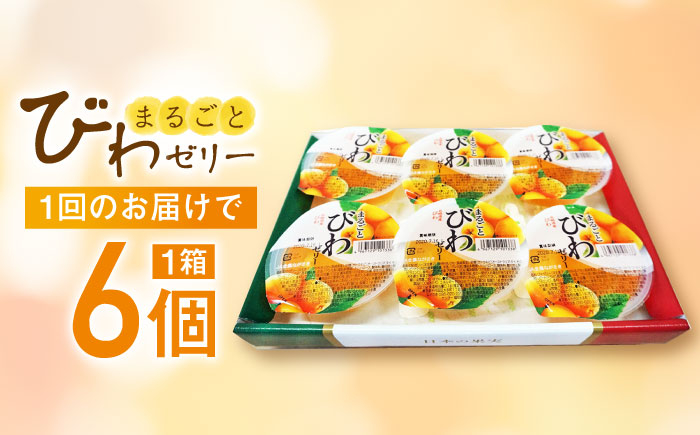 ゼリー びわ ビワ 枇杷 まるごと 定期便 長崎