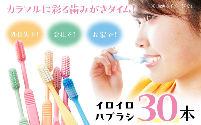 イロイロハブラシ 30本セット