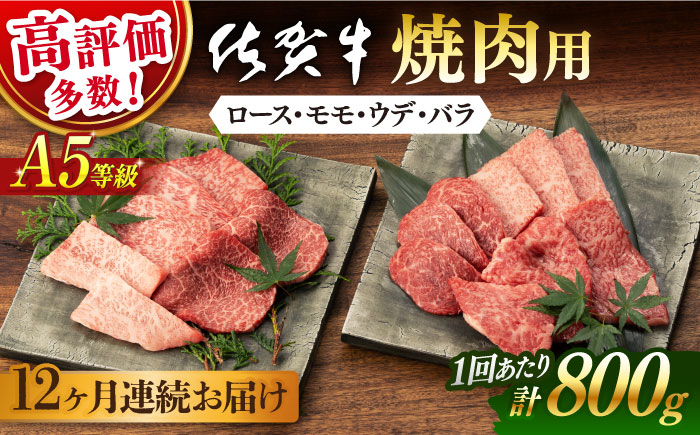 佐賀牛 牛肉 佐賀県産 黒毛和牛 焼肉 やきにく BBQ アウトドア