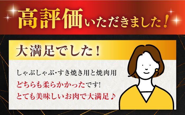 佐賀牛 牛肉 佐賀県産 黒毛和牛 焼肉 やきにく BBQ すき焼き すきやき