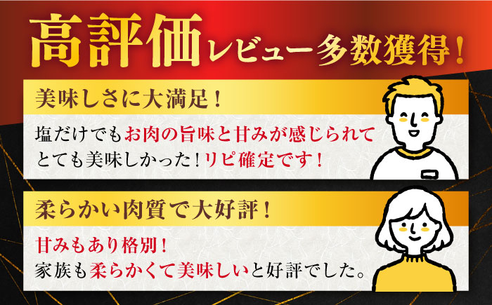 佐賀牛 牛肉 佐賀県産 黒毛和牛 焼肉 やきにく BBQ アウトドア