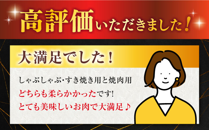 佐賀牛 牛肉 佐賀県産 黒毛和牛 焼肉 やきにく BBQ すき焼き すきやき