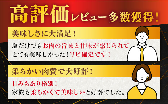 佐賀牛 牛肉 佐賀県産 黒毛和牛 焼肉 やきにく BBQ アウトドア
