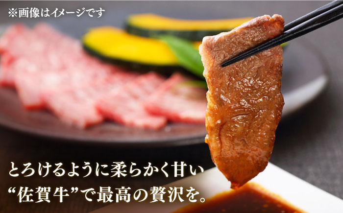 佐賀牛 牛肉 佐賀県産 黒毛和牛 焼肉 やきにく BBQ アウトドア