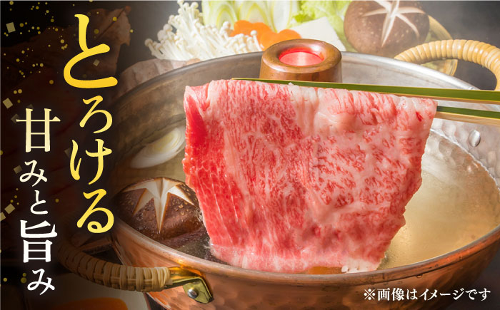 佐賀牛 牛肉 佐賀県産 黒毛和牛 焼肉 やきにく BBQ すき焼き すきやき