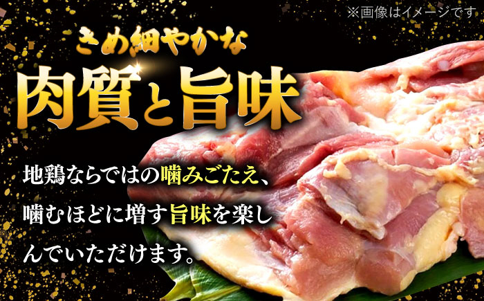 【ギフトBOX付き】福岡限定!はかた地どり水炊きセット 3~4人前