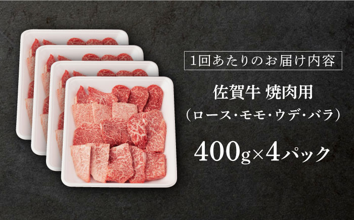 佐賀牛 牛肉 佐賀県産 黒毛和牛 焼肉 やきにく BBQ アウトドア
