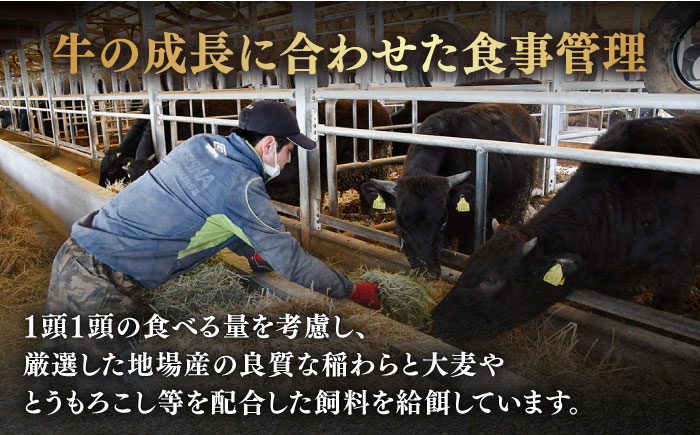 佐賀牛 牛肉 佐賀県産 黒毛和牛 すき焼き すきやき