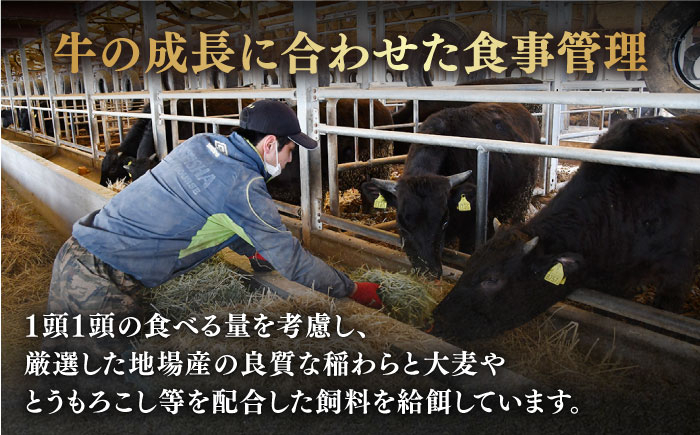 佐賀牛 牛肉 佐賀県産 黒毛和牛 しゃぶしゃぶ すき焼き すきやき