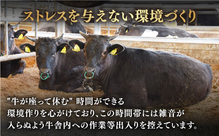 佐賀牛 牛肉 佐賀県産 黒毛和牛 すき焼き すきやき