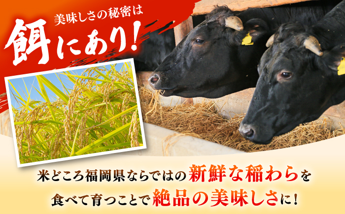 【訳あり】博多和牛 焼肉 切り落とし1kg(500g×2p)