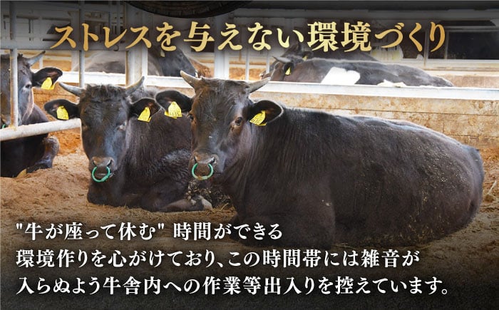佐賀牛 牛肉 佐賀県産 黒毛和牛 焼肉 やきにく BBQ すき焼き すきやき